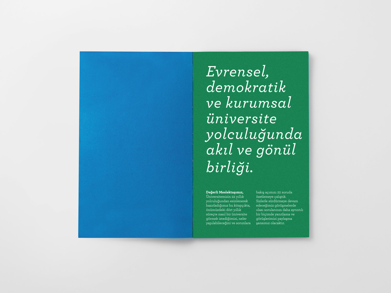 Kocaeli �niversitesi